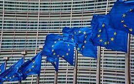 0f3eb496 1f91 0385 68e8 12f8f00813ad1 F 656336310