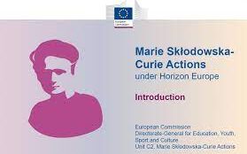 11c06433 2d42 14f1 0d74 8025fe7e6af01 F 1738130720