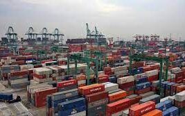 12544919 ecaf 97b7 f6f6 4803534fa4fe1 F1149901974