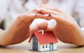 5c8255c8 efc6 4968 bb35 fc9dc5fe1b0b1 F2013522702