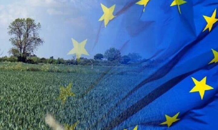 5cbd1d74 314e ab17 0e13 eadbe14d02671 F 361818461 5cbd1d74 314e ab17 0e13 eadbe14d02671 F 361818461