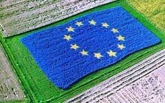 63e85abf ee5e 5f66 a0f0 0f4a4808252f1 F 2089979437