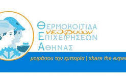 7cf5de74 5e64 491d 8b7e ff4fc6e9ebf51 F 252223944