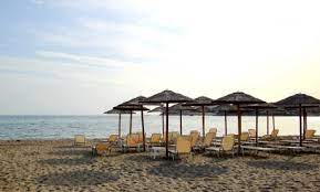 a82a6836 d52c 3e8b 0d7a 5d6ddebad58d1 F 88159853 a82a6836 d52c 3e8b 0d7a 5d6ddebad58d1 F 88159853