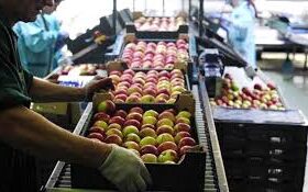 abca3f12 420f 4802 a5e3 cfb8e618faa61 F1454844855