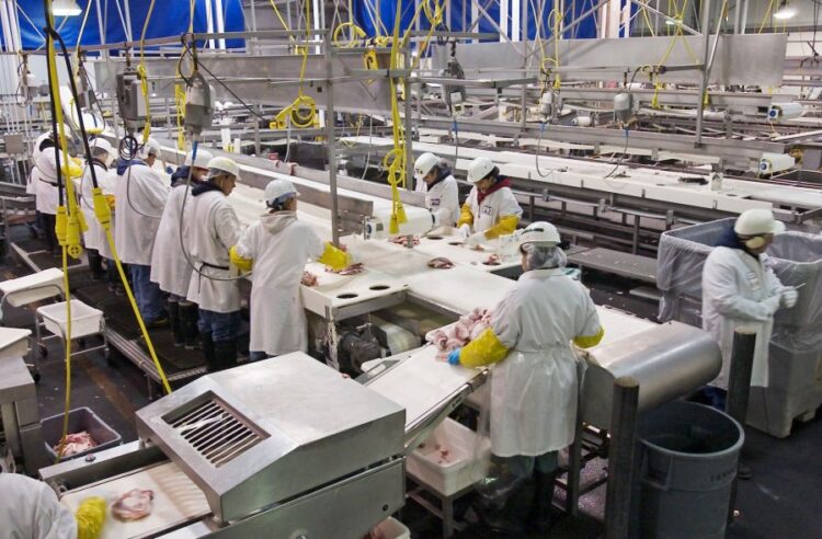 e7681ac6 6620 d76a 9d49 74f0801700ed1