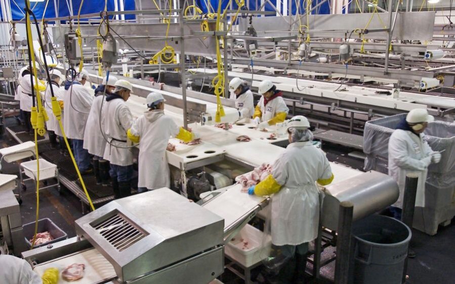 e7681ac6 6620 d76a 9d49 74f0801700ed1 F1062516301