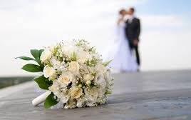 fb3ba0fc f5fe 4ebe 9d3c c4debb990bf31 F317830422