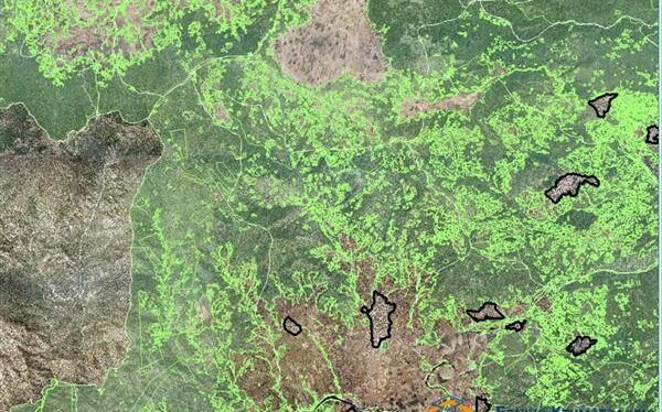 87a22fd8 d526 1937 4866 eb7bc68fc1c11