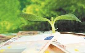 11127d0b 0311 e07a a74f 9a87013c063c1