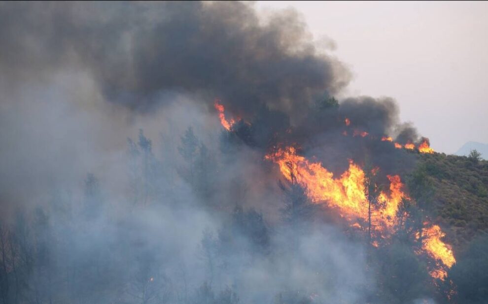 419be713 ee38 d5d9 c8f7 26ea9dbf6cda1 1