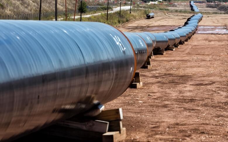 0cb84432 48f2 e34c 49cb 6af490d6e6b21