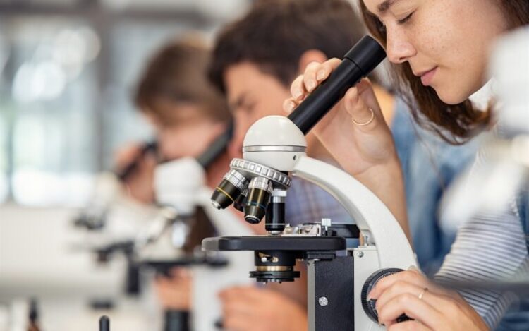 bdb7f338 605e 900e 7fdf 44813ea7eb061