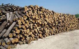 caa56c1a 4973 b242 f500 46b2d3a8a3b31