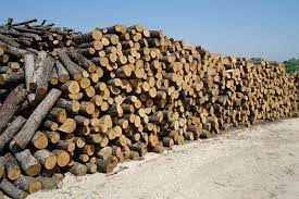 caa56c1a 4973 b242 f500 46b2d3a8a3b31