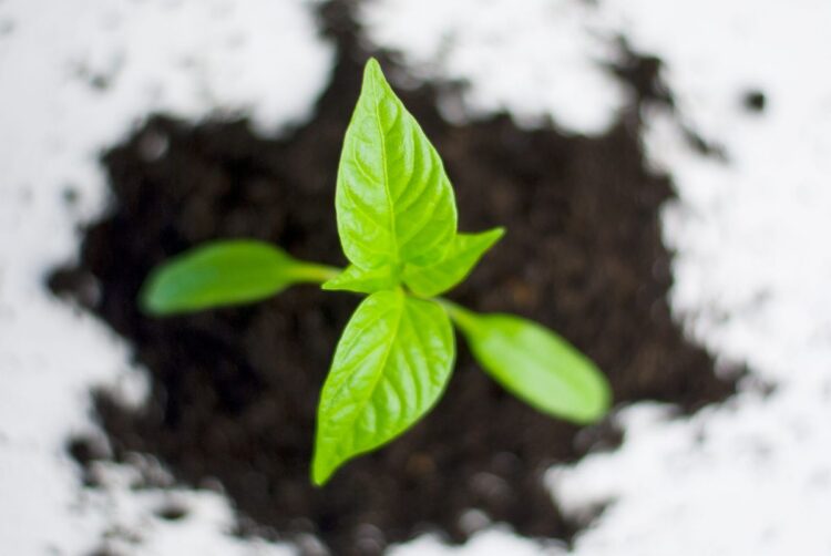 c921b09d edf3 8e02 ed0c dcfb5b73b1dc1