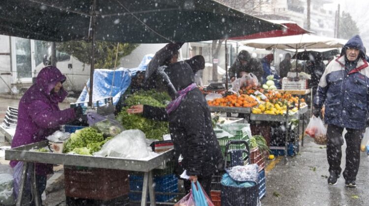 4e619e85 3675 5fcc 0e40 abd813d6a3691