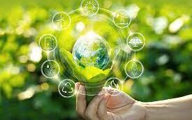 8eefb844 4485 389c 65b3 693865b4e8111