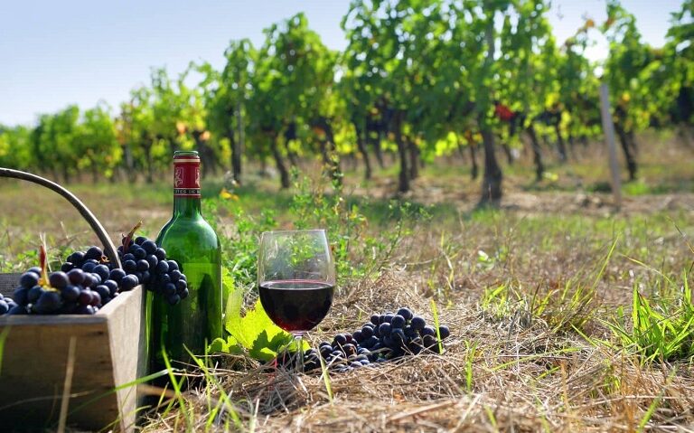 cc90380d 26be 5672 b9eb eed8fb1358041