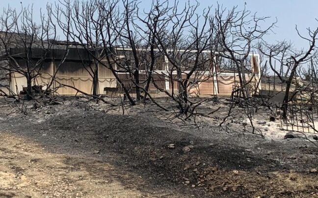 2e663f70 fe27 da24 5e2d 08693ff50e901 1