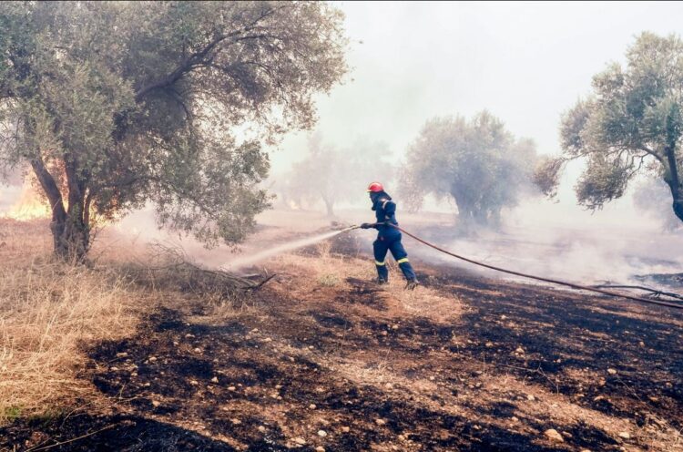 3f38e95b 5471 d799 a054 c6d9df61898b1