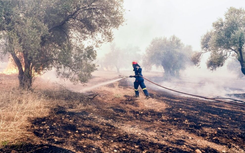 3f38e95b 5471 d799 a054 c6d9df61898b1 3f38e95b 5471 d799 a054 c6d9df61898b1