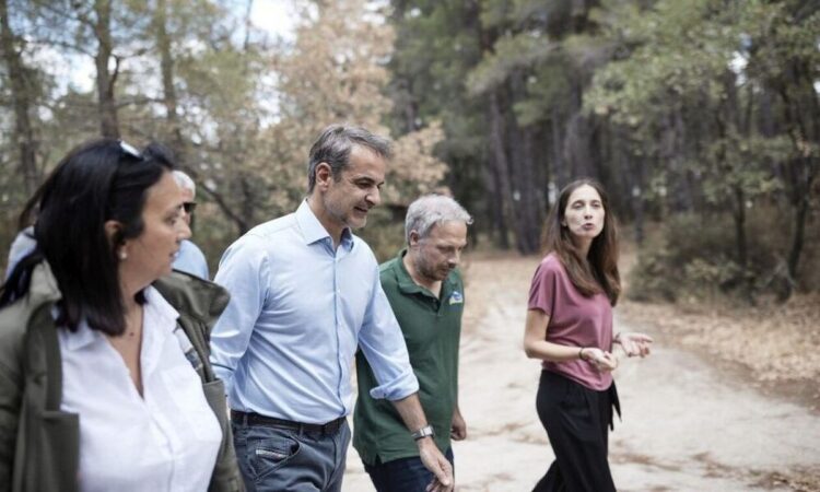 9a5cd8c8 9078 569d 8cdb 4c67c91ab1f71