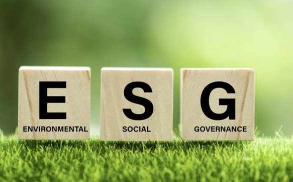 8776b20d 5012 fab9 af06 1cba1c5a84a91