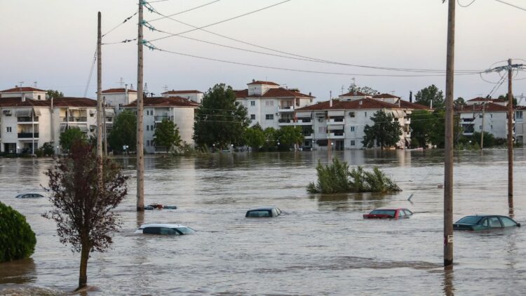 cedda645 12ec 0b74 06ad 2ce36f0787841