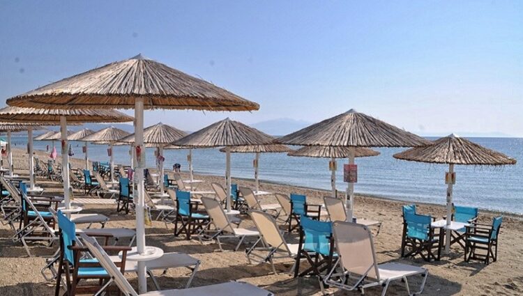 091ac222 dcd5 c22f 2086 89001e7098831