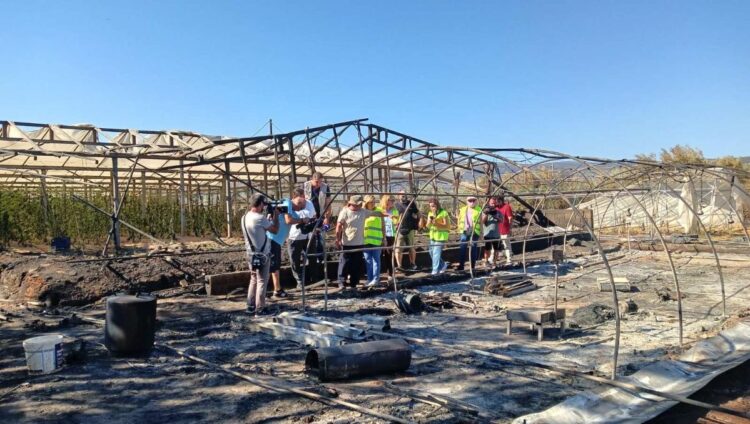 cc0593f7-1478-23e3-6c44-800402f1732e[1]