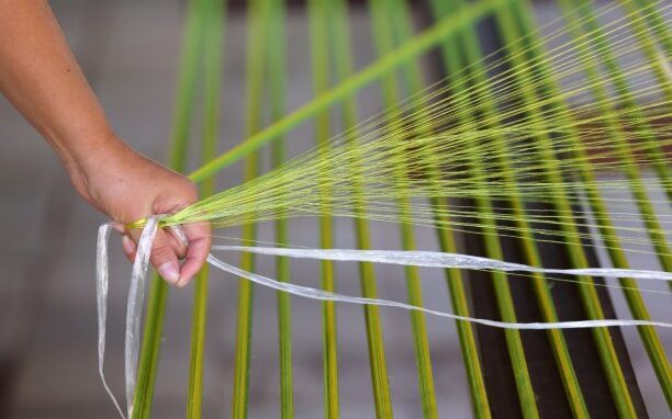 bf116a98-82bf-63c1-7e33-2690d3d48371[1]