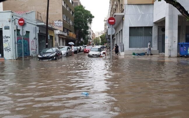 d7350281-19df-1e03-e325-c0371181d012[1]