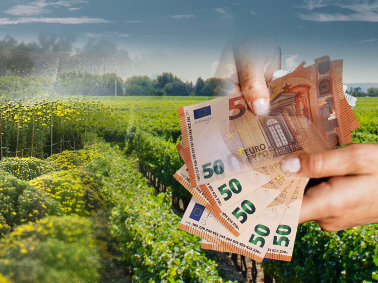 8fa43be1-00a1-0458-3760-687d8566585d[1]