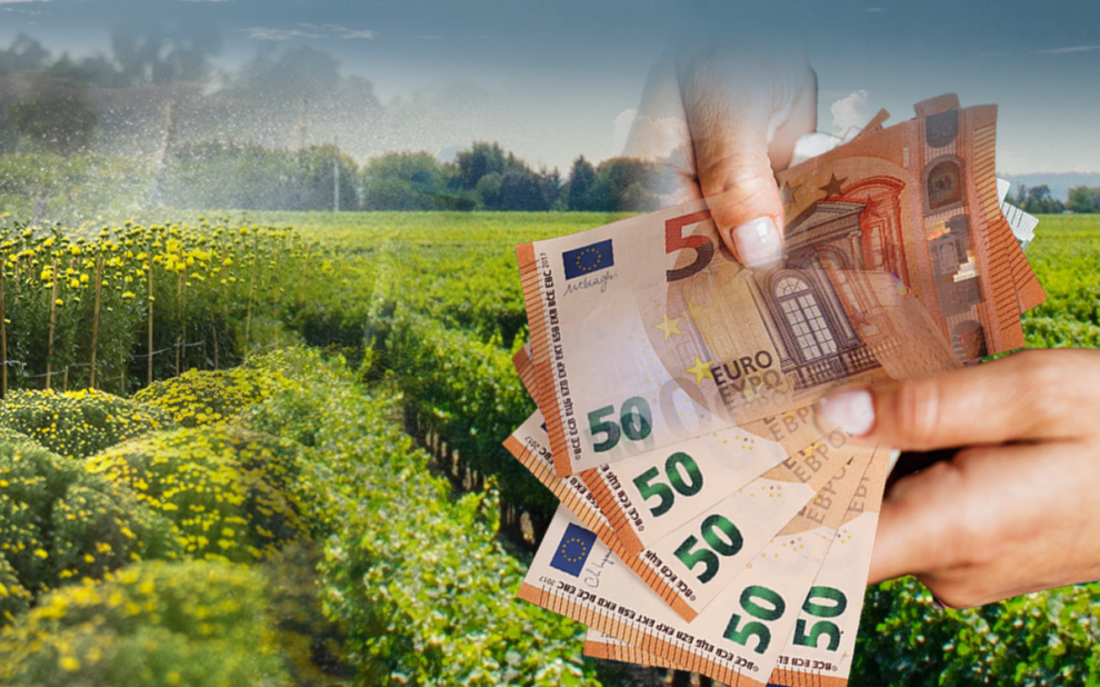 8fa43be1-00a1-0458-3760-687d8566585d[1]