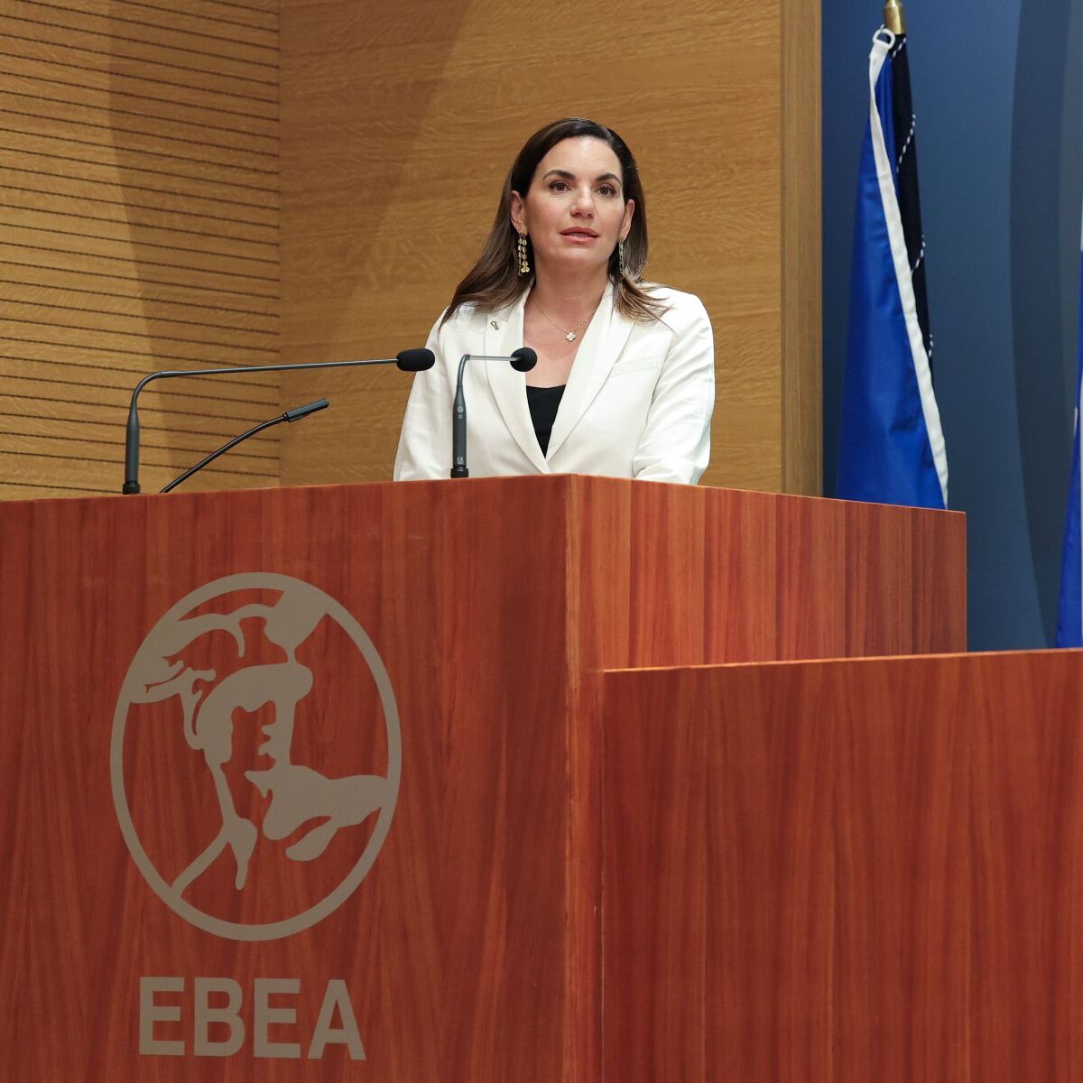 ΔΣ ΕΒΕΑ 12.5.25, παρουσία της Όλγας Κεφαλογιάννη 12.5.25