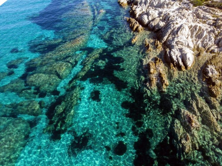 εθνικά θαλάσσια πάρκα