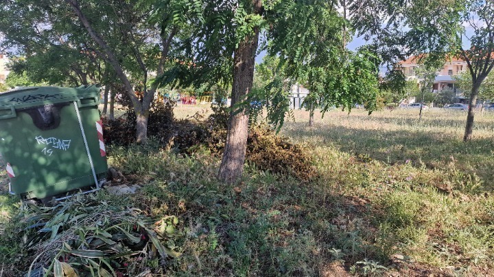 καθαρισμών οικοπέδων