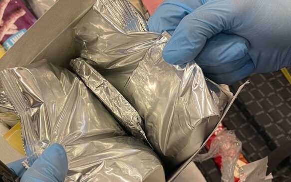Διεύθυνσης Αντιμετώπισης Οργανωμένου Εγκλήματος (Δ.Α.Ο.Ε.)