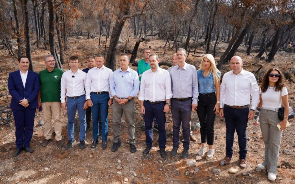 Στ. Παπασταύρου